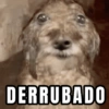 DERRUBADO