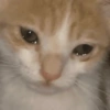 Michis Sad 😔 9