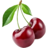 Buah / fruit 15