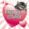 PINCHE VIEJA ESTUPIDA