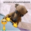 amostra a bosetinhakkkkk