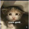 Manitaaa 24