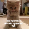 Aku ngambek Nih aku ngambek Yah
