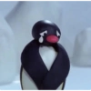 Pingu🐧✨️ 7