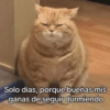 ✔️MEMESITOS QUE NECESITAS 2 🤭 5