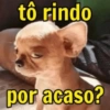 tô rindo por acaso?