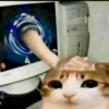 Meowl meme cat🐱✨ 16