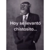 Hoy se levantó chistosito...
