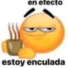 en efecto estoy enculada