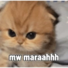 mw maraahhh