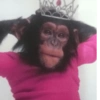 APENAS MACACOS 🤣 14