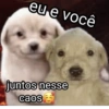 Só meme bom kkkkkkkk 12