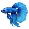 Emoji iPhone Blue 24