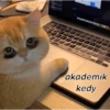 C 7 B 8888 U T • K L N M P akademik kedy