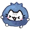 Basiilleaf Cat 😸 11