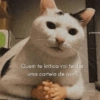 Quem te kritica vai te dar uma cartela de ovo? @petzatun
