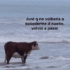 💥Chat Meme Collection💎🔝 1 13