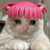 Ola mi vida 13