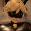 Cat noir 23