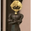 Cat noir 12