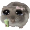 Rata triste Hámster Meme 🐹 16