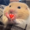💖🥹 Amor - Chat 💖🥺 11