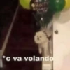 Holl *c va volando