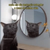 mais um dia tentando entender orumo da minha vida @gatoironico