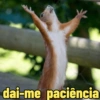 dai-me paciência