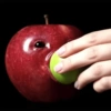 Manzana Meme Faces🍎 29