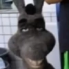 Shitpost? 23
