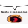 Quelo picaaaaaaaa