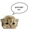 good night bro