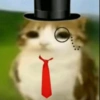 Meowl meme cat🐱✨ 10