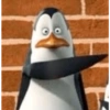 Pinguim  10