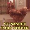 DYNE VC NASCEU PARA VENCER