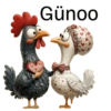 Günoo