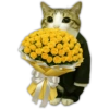 Bouquet Cat