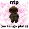 ntp (no tengo plata)