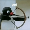 PINGUZINHO 13