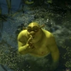 Shrek ✨Memes clásicos 3 21