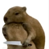 🦛✨️Capibara Pal Chat✨️🦛 5