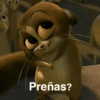 Preñas?