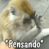 Monos random 🐒🦍 28