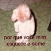 por que voce mim esquece e some