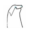 Flork 30