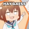 HAYGAESS