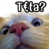 T₤ta?