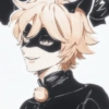 Cat noir 8