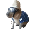 Capybara 2 5